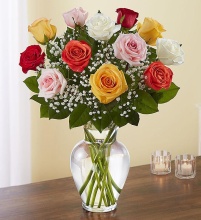 12 Premium Long Stem Assorted Roses