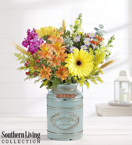 Autumn Delight&trade; by Southern Living&reg;