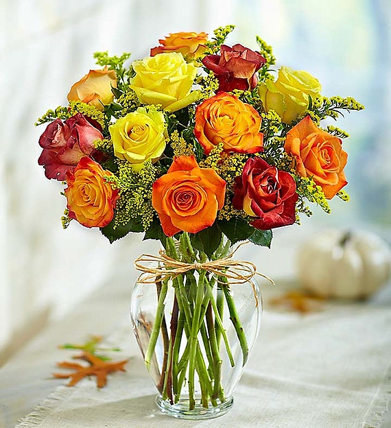 Rose Elegance&trade; Premium Long Stem Autumn Roses