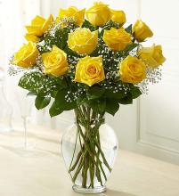12 Premium Long Stem Yellow Roses