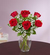 Love&rsquo;s Embrace&trade; Red Roses